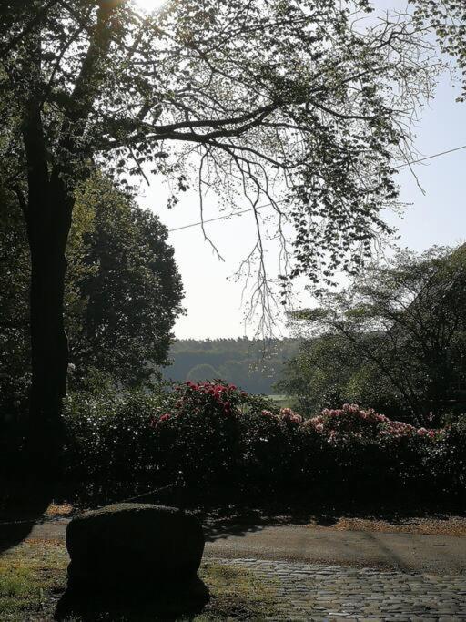 Xanadi Heilehaus Kleine Auszeit Kururlaub Appartement Bruchhausen-Vilsen Buitenkant foto